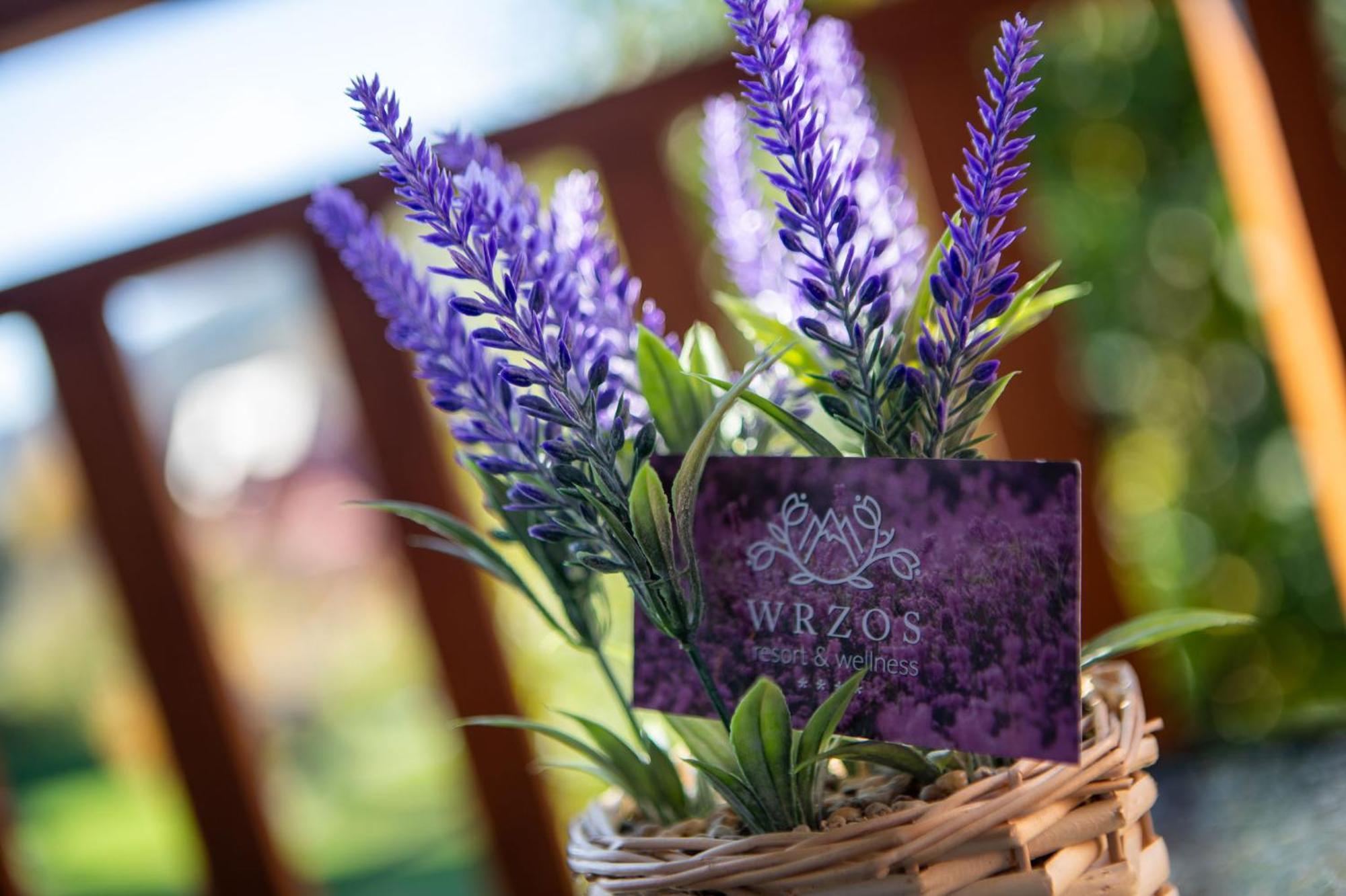 Wrzos Resort & Wellness Wegierska Gorka Luaran gambar